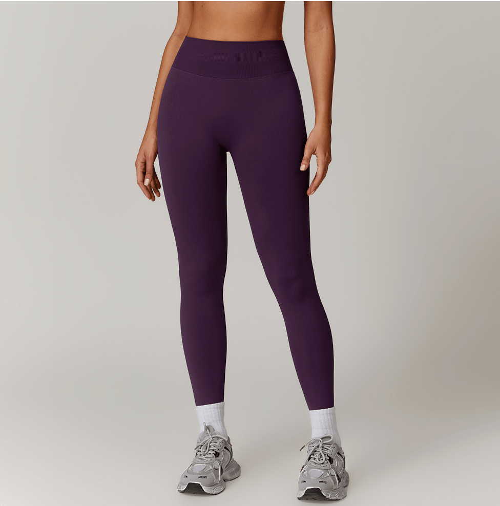 Seamless Sculpt Legging BASICS - Musclemuse