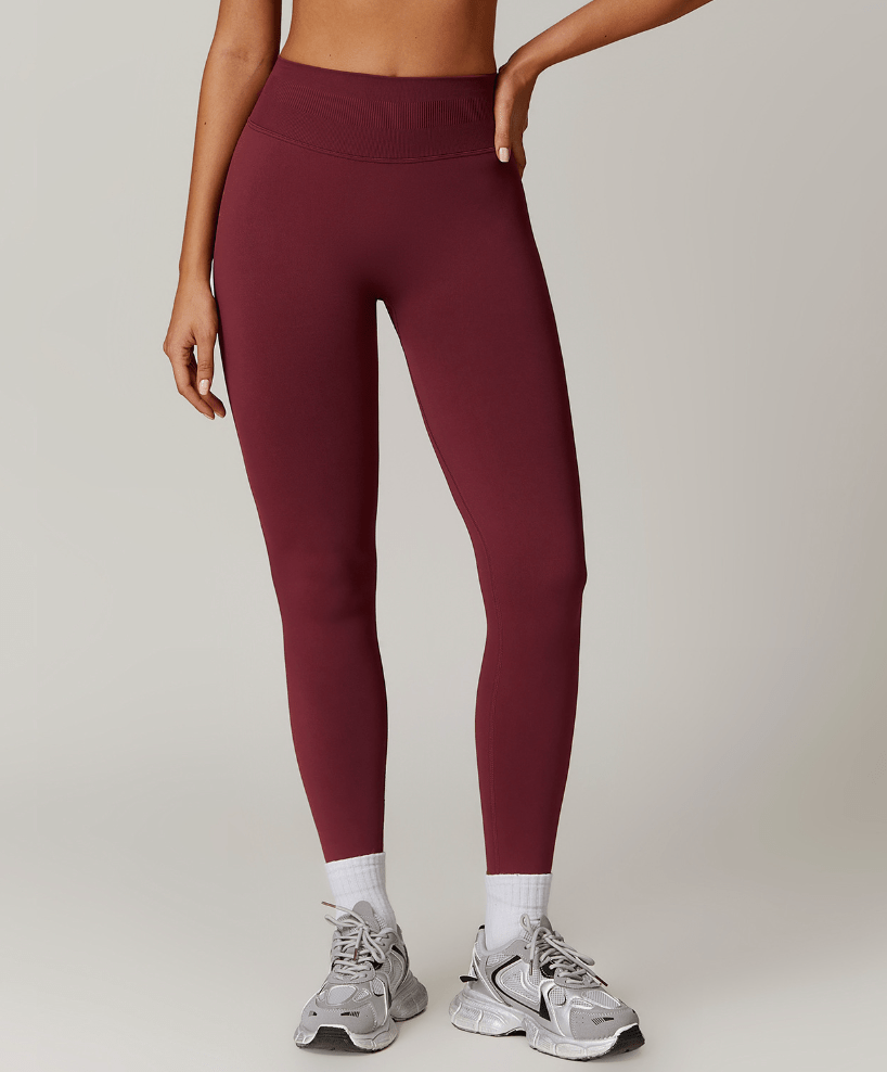 Seamless Sculpt Legging BASICS - Musclemuse