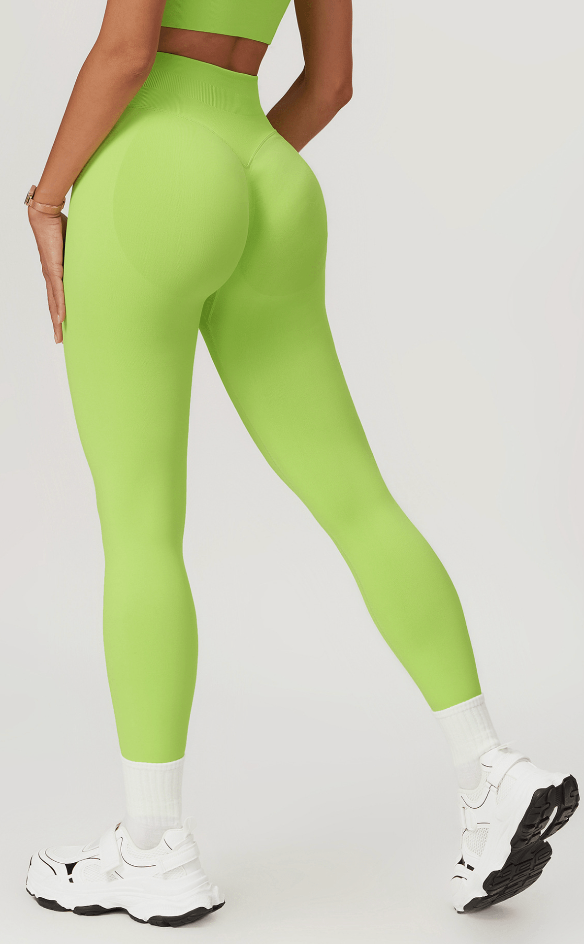 Seamless Sculpt Legging BRIGHT - Musclemuse